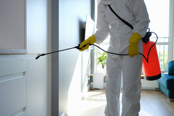 Best Commercial Mold Inspection  in Alvin, TX
